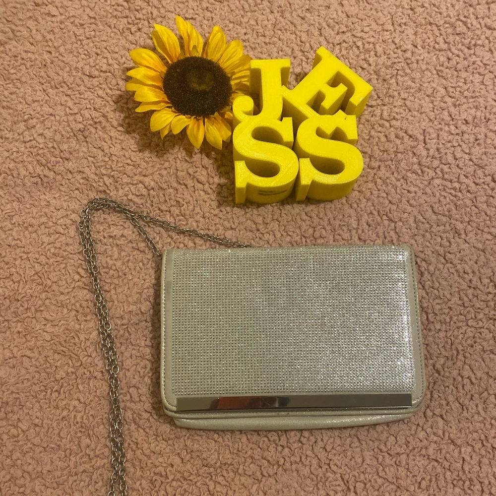 Aldo Silver Purse